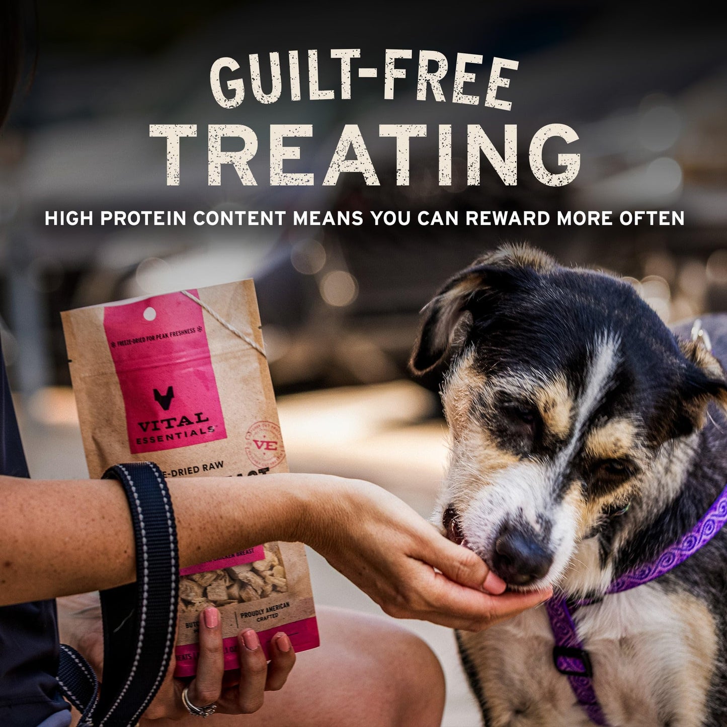 Vital Essentials Single Ingredient Beef Liver Dog Treats, 15 oz | Freeze-Dried Raw | Premium Quality High Protein Training Treats | Grain Free, Gluten Free, Filler Free