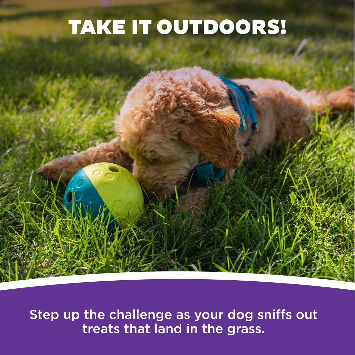 Outward Hound by Nina Ottosson Treat Tumble – Interactive Food-Dispensing Dog Puzzle Ball, Level 1 Beginner, Small, 4.8"