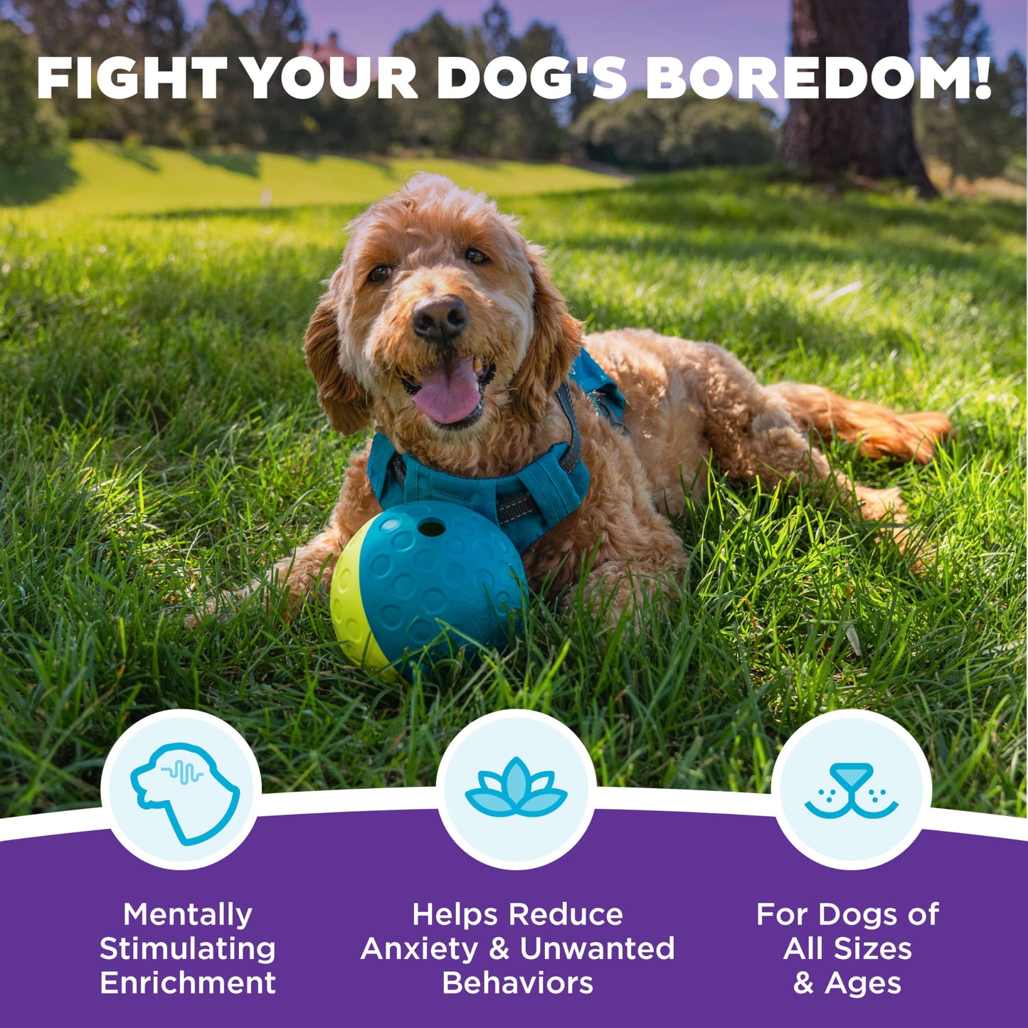 Outward Hound by Nina Ottosson Treat Tumble – Interactive Food-Dispensing Dog Puzzle Ball, Level 1 Beginner, Small, 4.8"